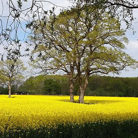 Apartment Kleiner Esch